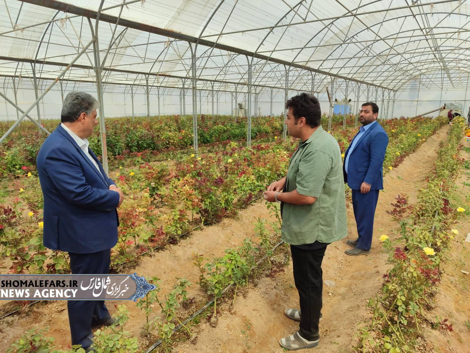 گزارش تصویری | بازدیدهای فرماندار خرمبید از گلخانه تولید نشاء گل رز و آبادی نظرآباد گزارش تصویری | بازدیدهای فرماندار خرمبید از گلخانه تولید نشاء گل رز و آبادی نظرآباد